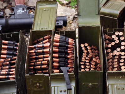 Будет ли Шольц запрещать поставки оружия на Украину