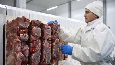 В 2023 году Россия продлит беспошлинный ввоз говядины