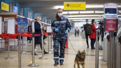 Аэропорты Москвы ввели максимальный уровень безопасности