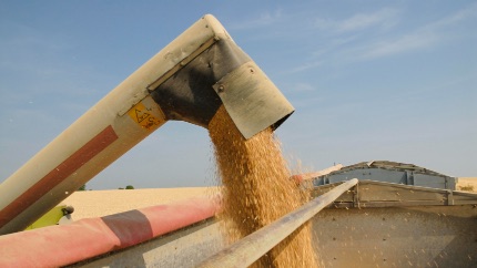 Как долго будет действовать зерновая сделка по Украине