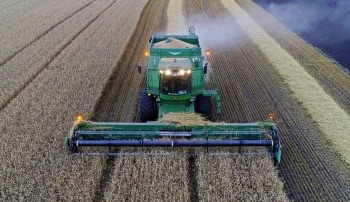 В России выделят 10 млрд. рублей на поддержку производителей зерна