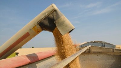 Как долго будет действовать зерновая сделка по Украине