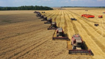 Запасы зерна в сельхозорганизациях России увеличиваются