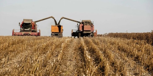 Россия собрала уже более 100 млн. тонн зерна