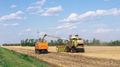 Молдова ввела ограничения на импорт сельхозпродукции из Украины