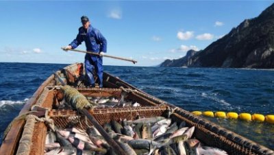 Россия и Япония договорились по квотам на рыболовство
