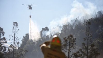 Пожар в Аргентине распространился на 1000 га в парке ЮНЕСКО