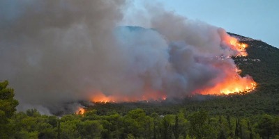 В Чили продолжаются масштабные лесные пожары