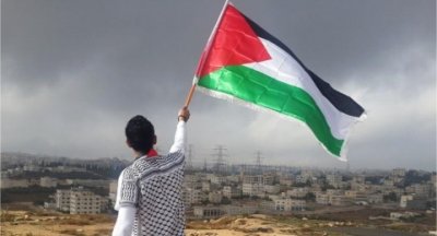 США изучают возможность признания Палестины, как государства